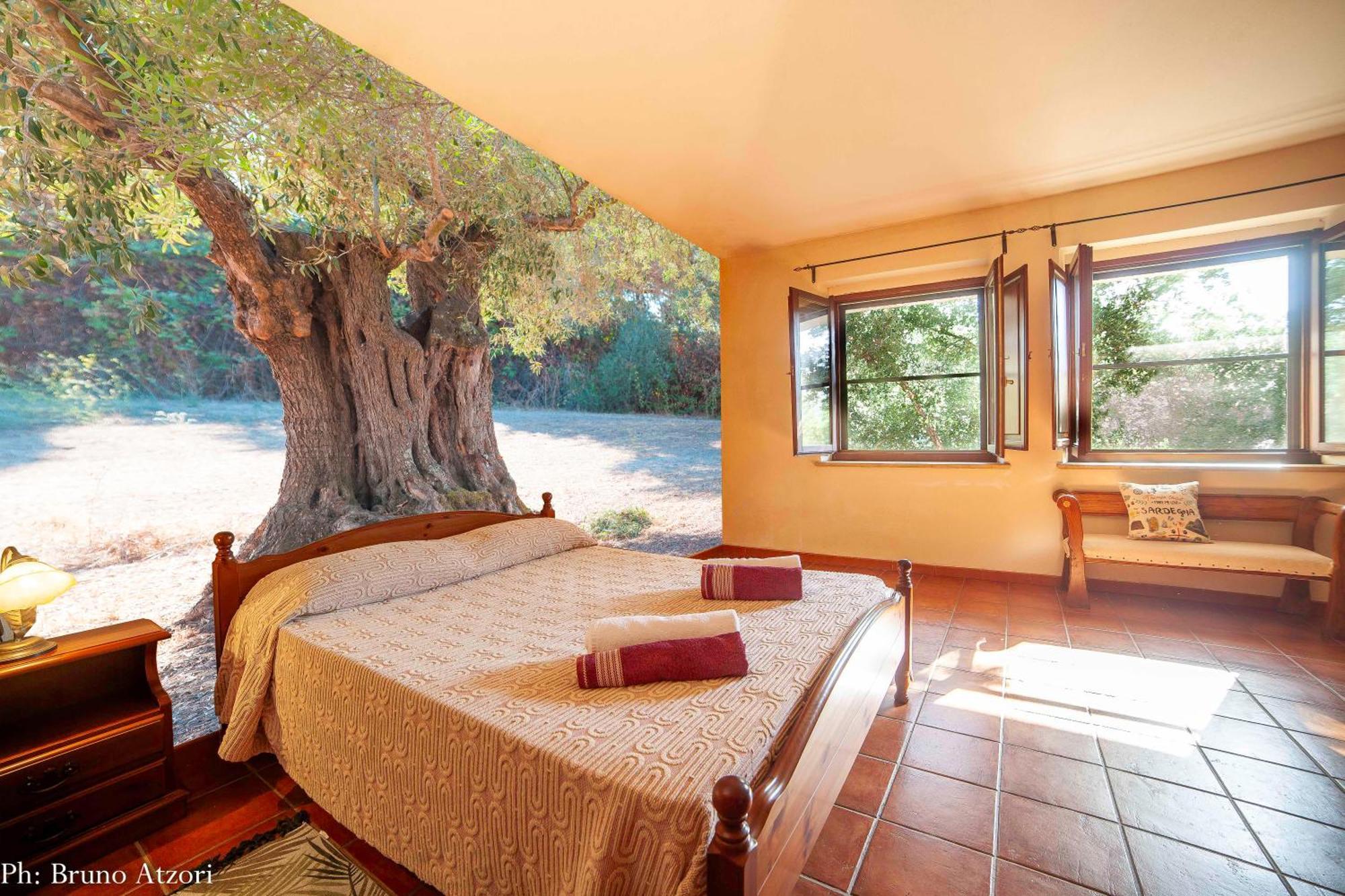 Farm stay Sa Tanchitta Ula Tirso